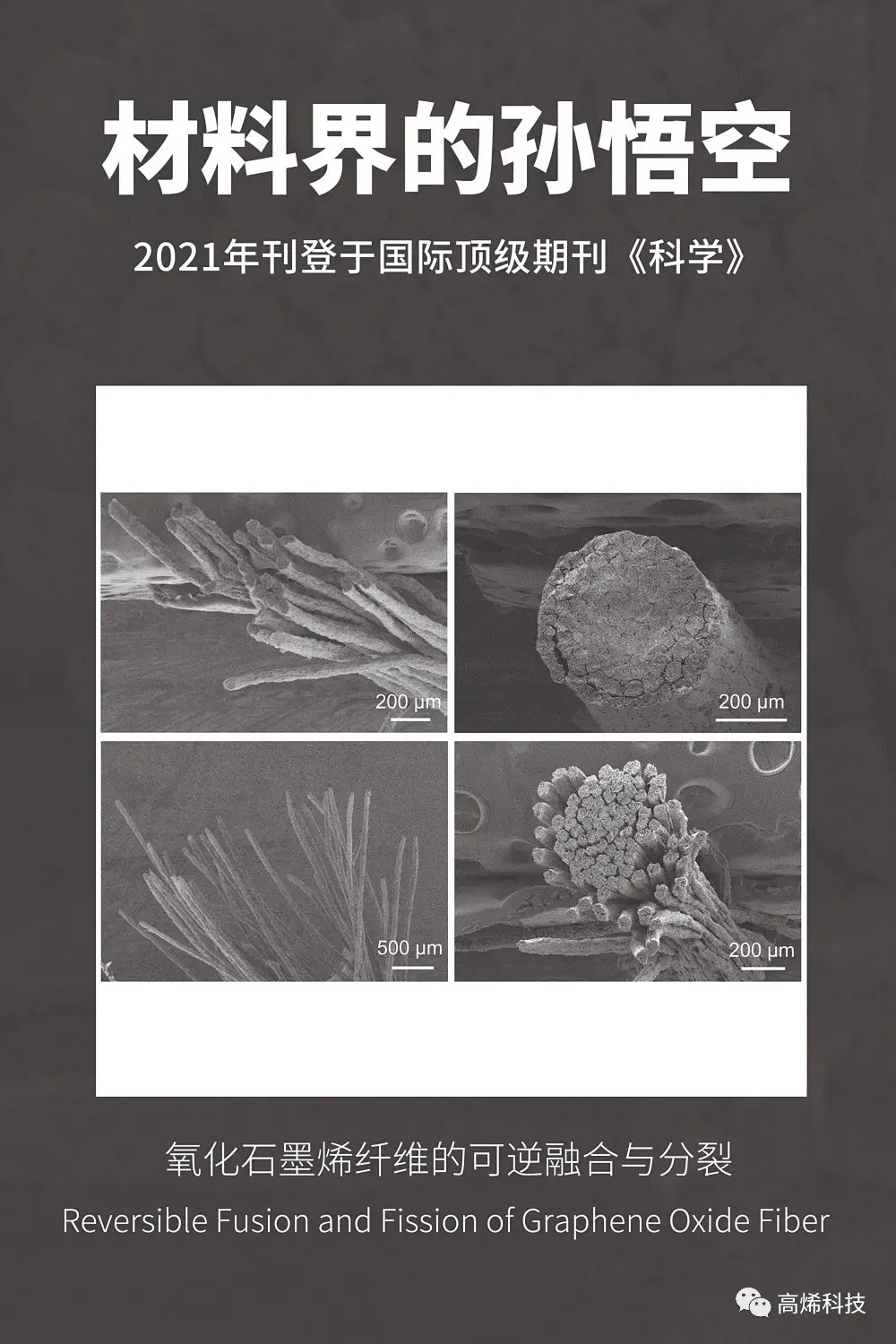 2025新奥资料1688原网